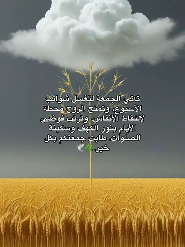 #اكسبلور #خواطر 