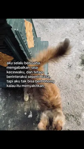 #galaubrutal #fouryoupage 