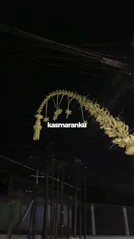 Akuu lan Kowe - Janur Kuning melengkung - Segoro Madu eraaa - adat jawa 🫶🏻✨🥺  #segoromadu #janurkuning #adatjawa #dekorasiwedding #foryoupage 