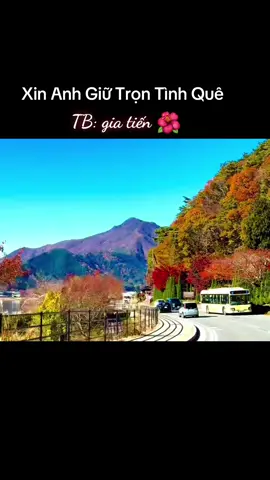 #Xin anh giữ trọn tình quê#gia tiến#nhachaymoingay🎧 #nhachaymoingay❤️ #xuhuong 