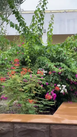 Kamal kartey hein log 😂 #abdullqamberzai #lasbela_university_uthal_balochistan #foryou #foryoupage #unfrezzmyaccount @Tʜᴇ Exᴛʀᴇᴍɪsᴛ 