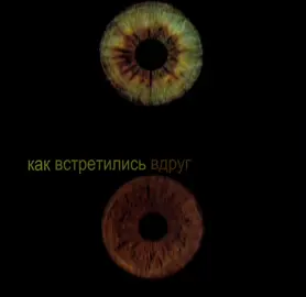 мыы @Catholic 𓍼 🦭🦭#fyp #валентинстрыкало #глаза #мяу 