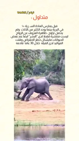 تابعني ليصلك كل جديد 📺 