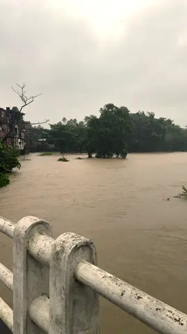 මිනුවන්ගොඩ ❤️‍🩹 #daysofdhanushka #floodsl #weatheralert #srilanka #foryou 