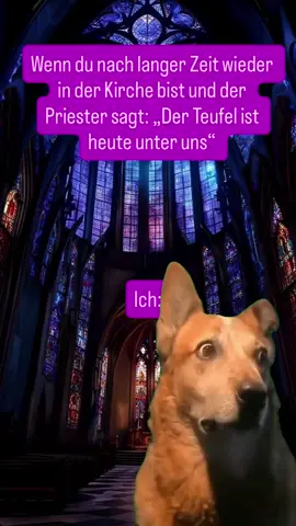 #MemeCut #humor #foruyou #Meme #lustig 