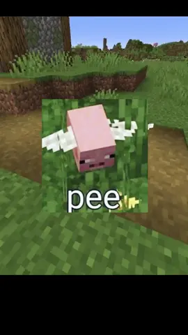 новый мод! можете найти этот мод по названию Pee Pet в интернете или же по ссылке в моем телеграмм канале #майнкрафтмоды #смешныемоды #майнкрафт 