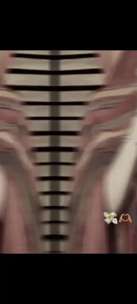 bolck saar faarax bilaa faa ido😂🫶🏽💸