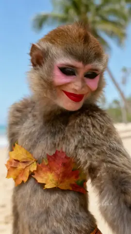 มาเต้นไปด้วยกันนะ#ลิง#เต้นรำ#เทรนด์#wolink#TikTokThailand#monkey #funny #fyp #funnyvideos#monkeyvideos #dance #