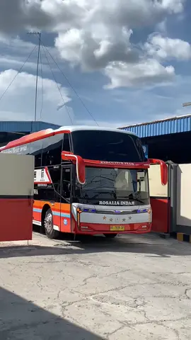 Playen Palembang hari ini #rosaliaindahtransport #rosaliaindah #busakap #fyp 