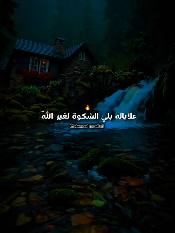 #capcut #foryoupage❤️❤️ #تصميم_فيديوهات🎶🎤🎬 @Hafid guidji  .  .  .  @ْMohamed maallmi @ْMohamed maallmi @ْMohamed maallmi 