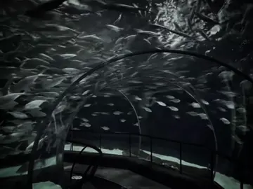 One Last Time + The Cure + That Girl  ... #onelasttime #thecure #thatgirl #xuhuong #lyrics 