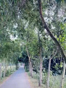 Somoy nai ⏳😢. #foryou #trending #neture 