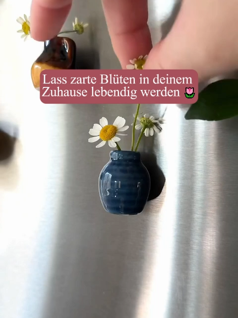 Winzig, keramikfein und so süß - dein neues Deko-Detail.😍 Kaufe es jetzt：https://www.kflavor.com/products/Mini-Keramik-Vasen-Magnet #TIKTOK2025 #FYP #Familie #Geschenk #Christmas #Blume
