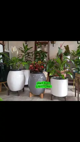 #decor #mombasatiktokers  #interiordesign #indoorplants #nairobitiktokers 