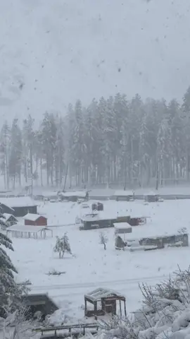 Coming soon insha Allah #unfreezemyacount #mahudandlake #kalam #travelwithharoonkalam 