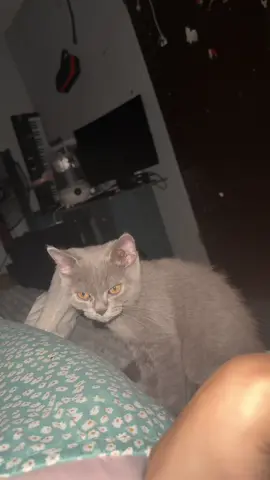 Kaisog sa akong bb 😅 #fyp 