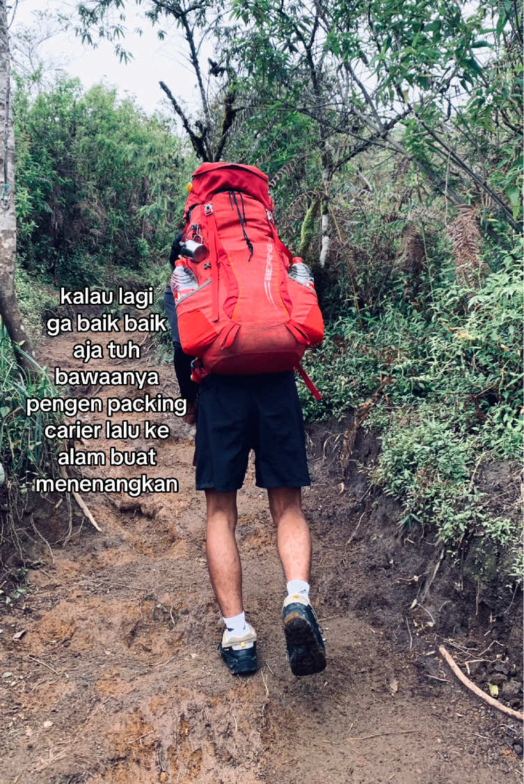 #fyppppppppppppppppppppppp #fouryou #pendakigunung #pendakifomo #sumbing 