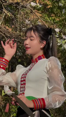 #nguoithaidienbien #thaitaybac #cogaidentuhomqua 