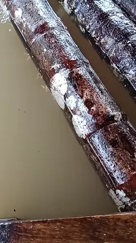 #fyppppppppppppppppppppppp 