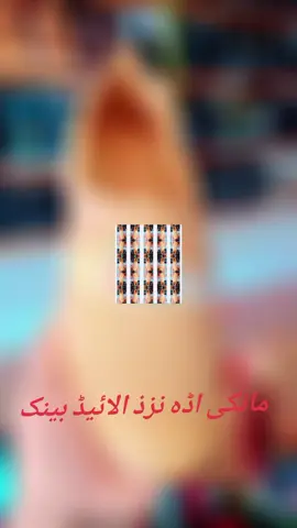 #foruyou @Sulaiman Haqqani 