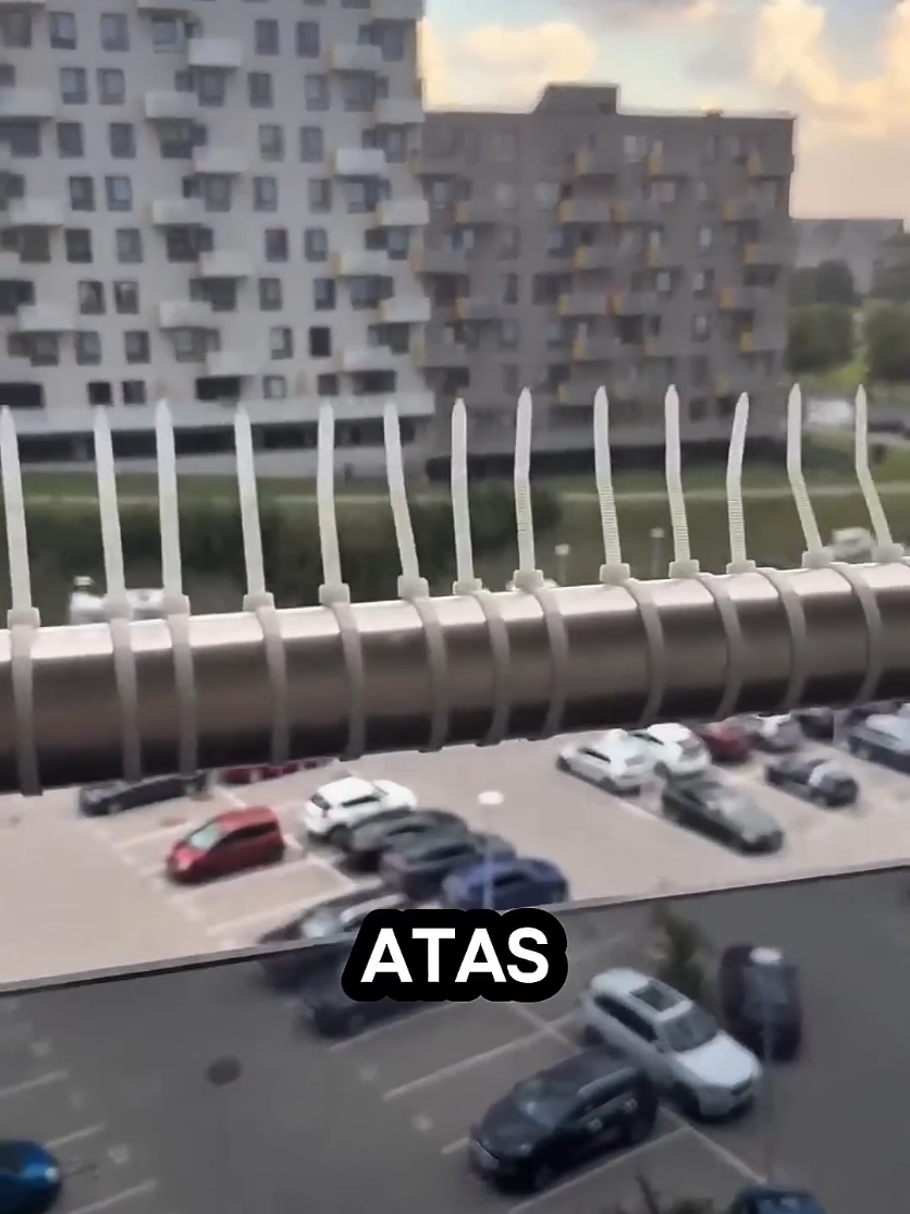 Beginilah cara cerdas pria ini agar kaca nya tidak kotor terkena kotoran burung #fyp #foryou #foryoupage #burung #balkon 