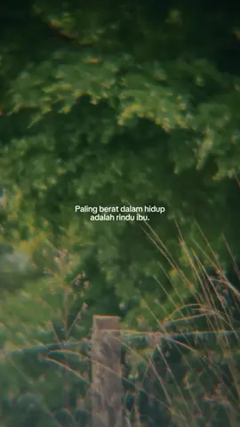 #driveherhome #jackgray #quotes 