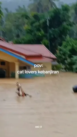 evakuasi kucing 🐈, sebagai cat lovers kepikiran gimna nasib mereka!!😭 #catlover #kucingindonesia #banjir #bencanaalam 