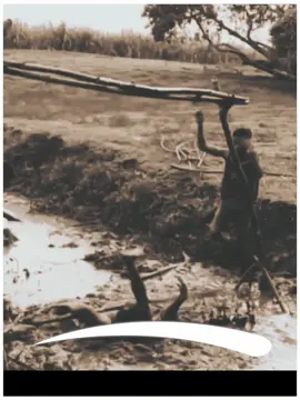 lines~ duet kro apki video virl😂😂100%~#unfrezzmyaccount#msaib_088ib088#foryou#1millionaudition #viralvideo