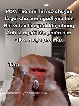 cái Iz què gì cũng biết 🙂 #memes #relatable #fyp #couple #cat 