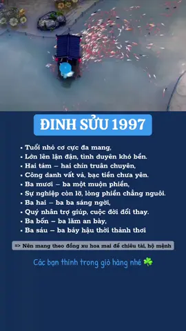 Các bạn tham khảo nhé #dinhsuu1997 #dinhsuu #dinhsuu1997🐃 #1997 #tuvi 
