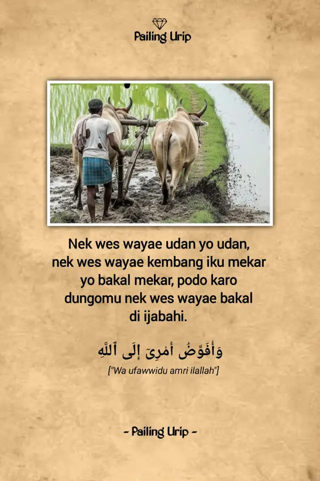 Dan aku menyerahkan urusanku kepada Allah.  #fyp #pailingurip #bismillahfyp 