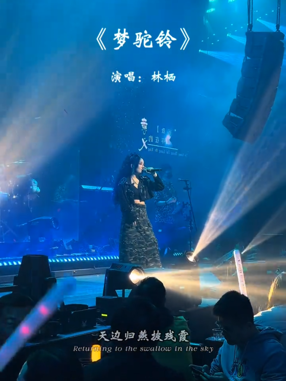 #梦驼铃 #林栖 #fyp音乐热歌推薦  #yueh_cyc🎼🎞  #yueh_cyc_w 