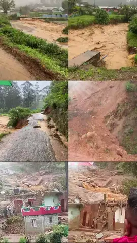 #creatorsearchinsights #😭😭😭😭😭😭😭😭😭😭😭 