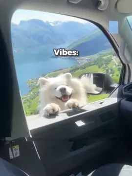 This vibes 😭🔥 #sleepingcity #phonk_music #brazilianfunk #viral #fyp 