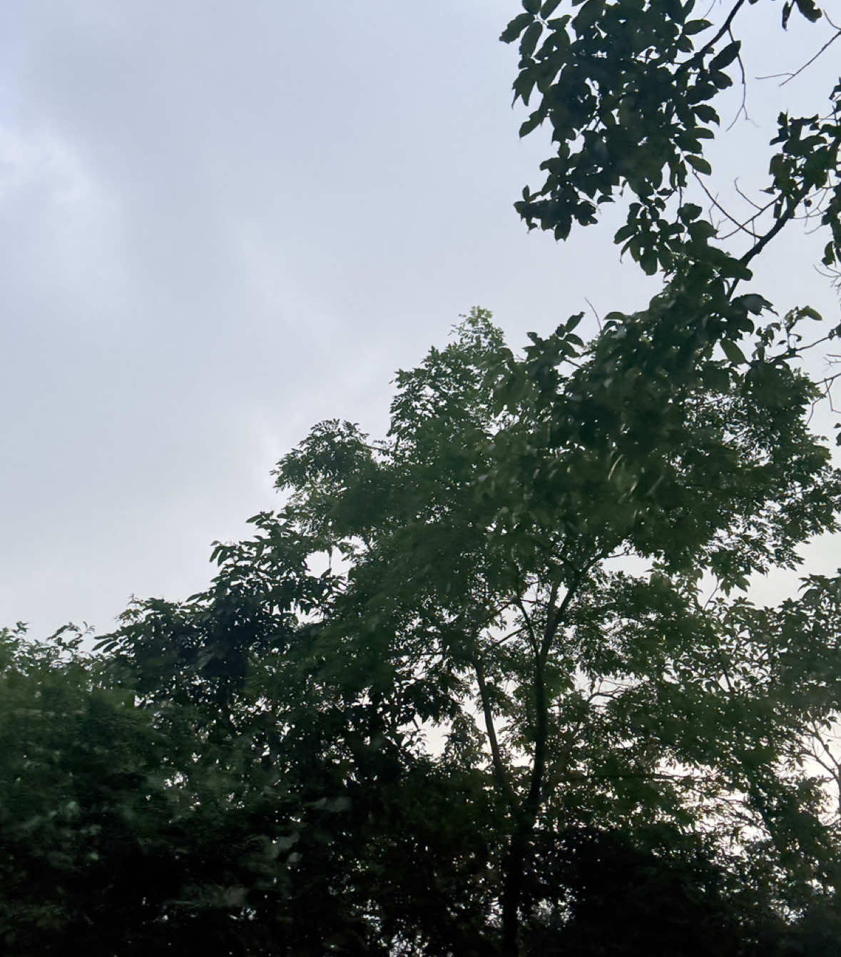 @@sh.risti ❤️#fyp 