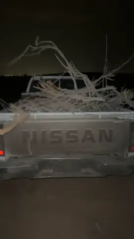 #explore #fyyyyyyyyyyyyyyyyyyy #fyp #القصيم #حطب 