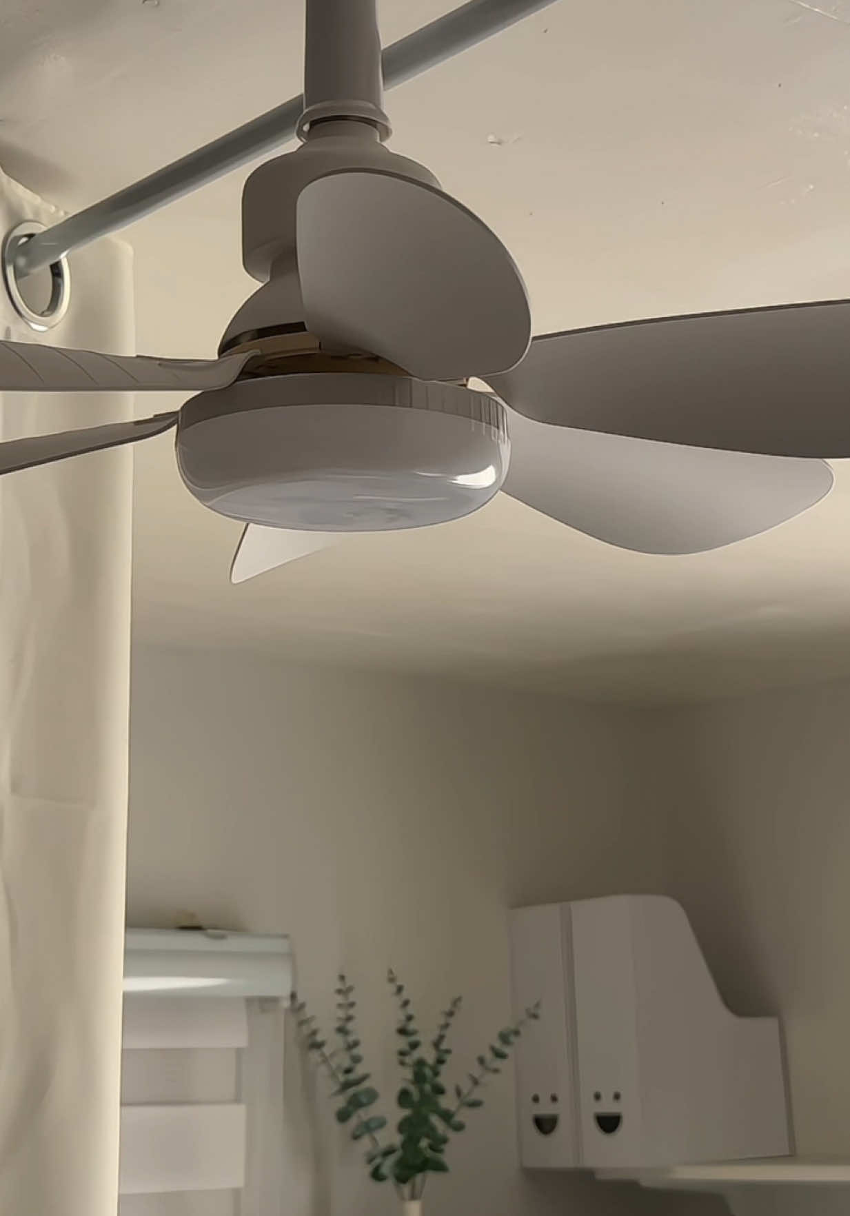 ceiling fan with light from @Jiditech Home #ceilingfanwithlight #ceilingfan #jiditech 