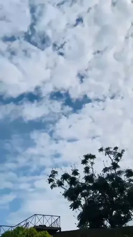 ❤️‍🩹 #fyp #viral #bdtiktok #views #viral?videotiktok😇😇 #fpy_tiktok_viral #binty #viralvideo 