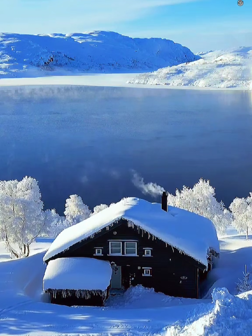 إن الله وملائكته يصلون على النبي يا أيها الذين آمنوا صلوا عليه وسلموا تسليما #سعود_الفايز #ايات_قرآنية #جمعة_مباركة #القران_الكريم #قران_كريم 