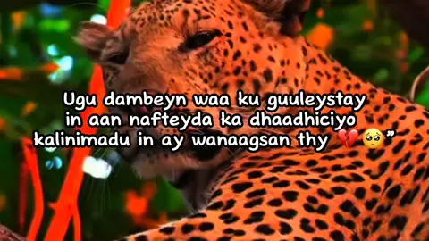 💔🥀#writer_tom🖤🦕 #tom🖤🦕 #foryoupage 