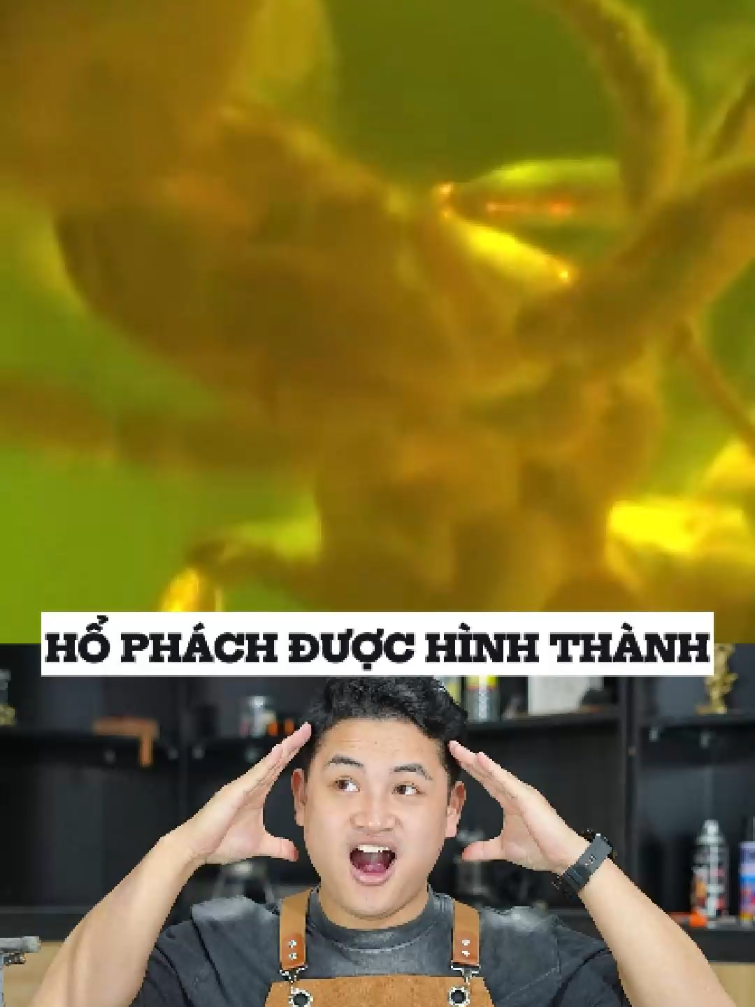 Hổ phách được hình thành thế nào #K204 #huykvienchibao #m #A1