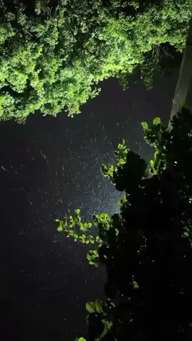 إنه الوقت الذي ينفد فقط، وليس المشا عر 