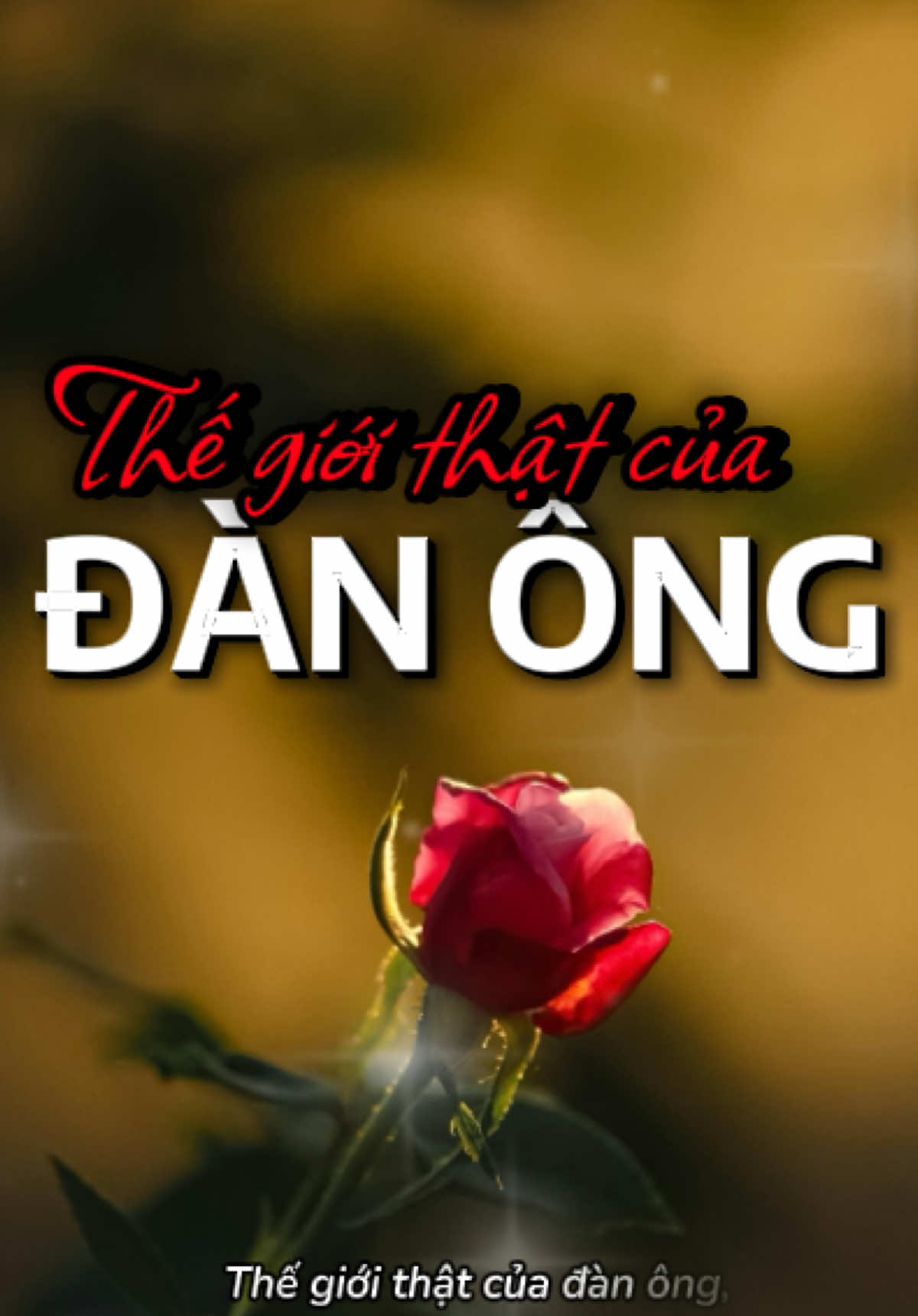 Cùng khám phá một phần thế giới về nửa còn lại của các chị em nhé. #songpresent #baihoccuocsong #cuocsongthuongngay 