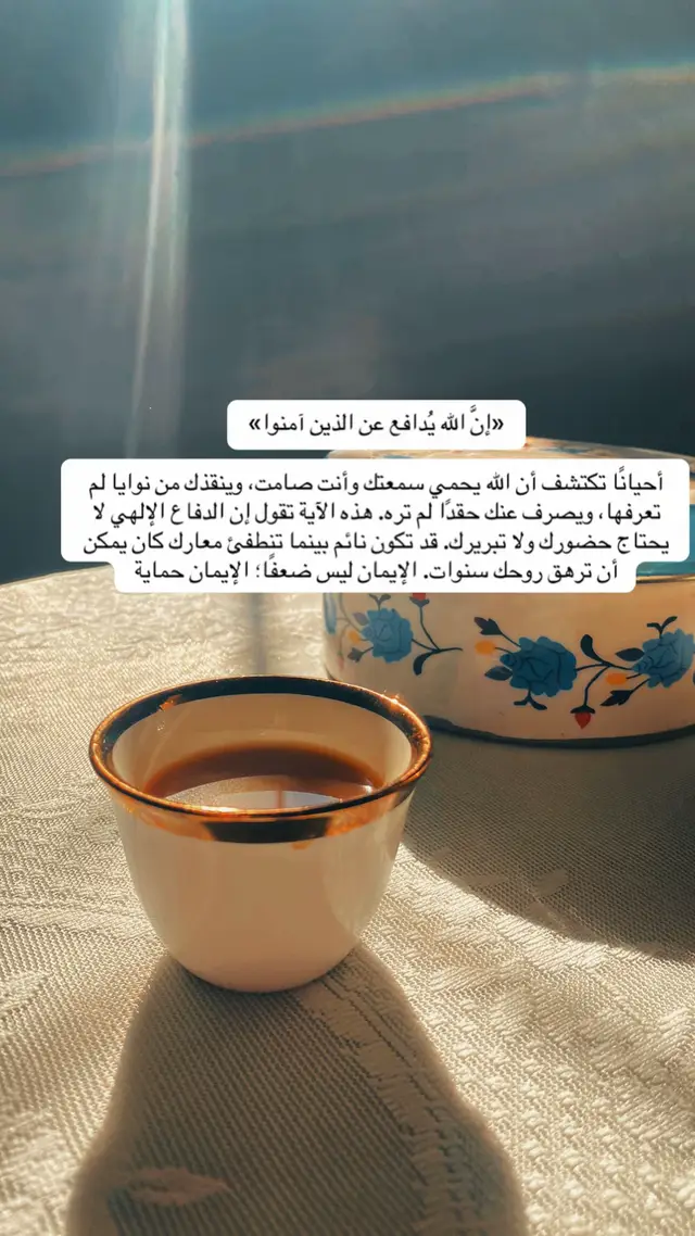 #catsoftiktok #عشوائيات #صلوا_على_رسول_الله 