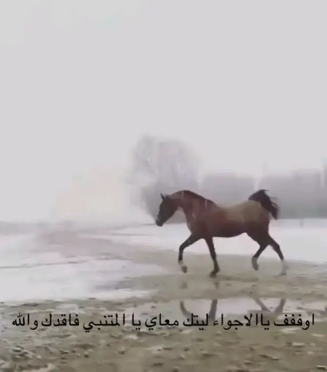 #شطرنج #chess #fyppppppppppppppppppppppp #fyyyyyyyyyyyyyyyyyyyyyyyyyyyyyyyyyy #fyyyyyyyyyyyyyyyy 