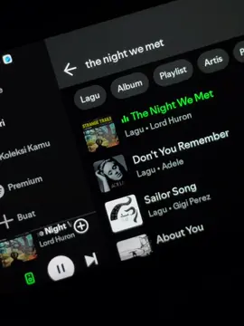 #lyrics #liriklagu #thenightwemet #fyp #spotify 