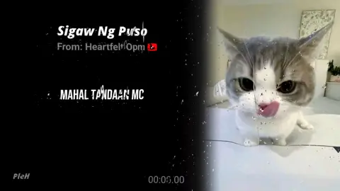 Sigaw Ng Puso From Heartfelt Opm ☕  #fyp #lyricsvideo #alightmotion_edit #capcut #nodevideo 