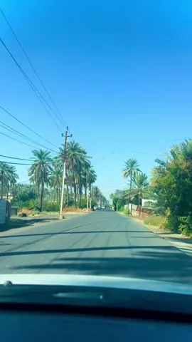 #رعد_الناصري #ياطير_كلهم_مانسينا #تصويري📷 #بغداد #قناتي_تليجرام_بالبايو💕🦋 