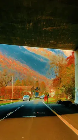 Beautiful Switzerland 🇨🇭#beautifulnature #swissviews #relaxingvideo 