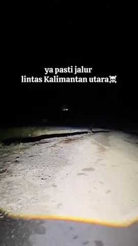 #stitch with @Dorami🐾 lebih berhati hati dalam berkendara.. #fyp #tv #biled #meelytz 